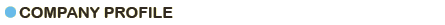 Џ